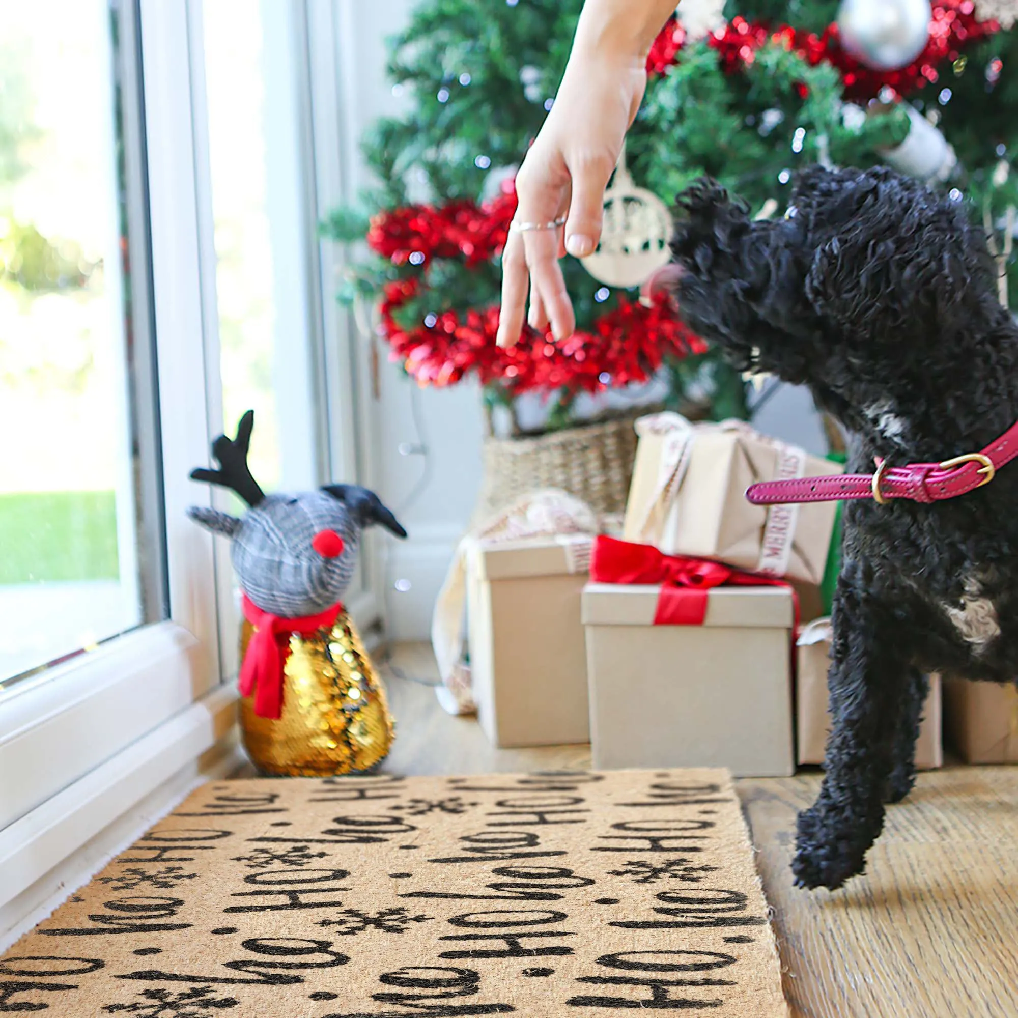 60cm x 40cm Ho Ho Ho Coir Door Mat - By Nicola Spring