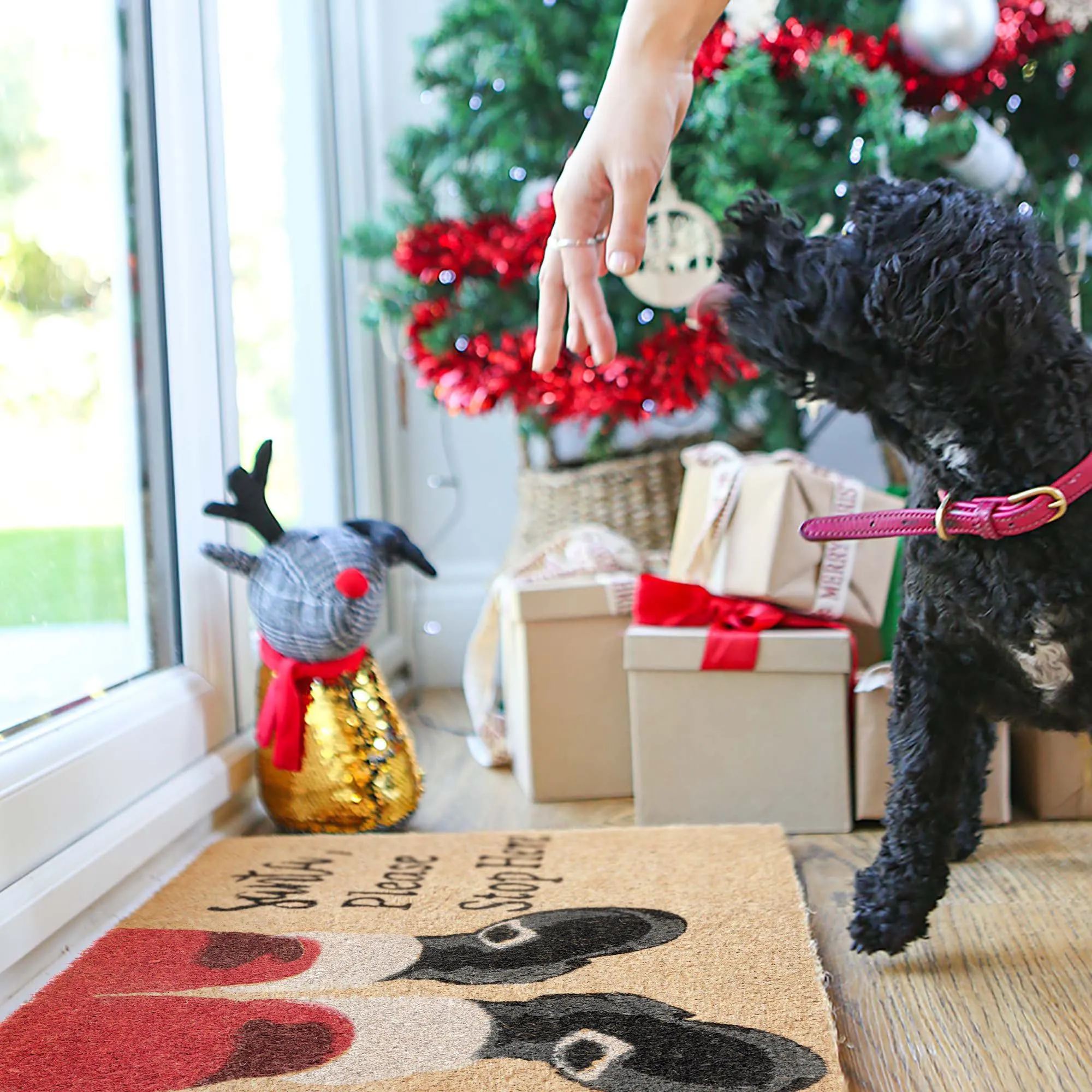 60cm x 40cm Santa Coir Door Mat - By Nicola Spring