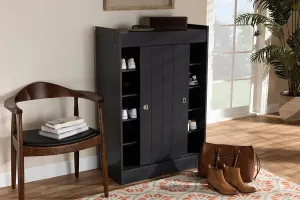 Adalwin Charcoal Finished 2-Door Wood Entryway Shoe Storage Cabinet