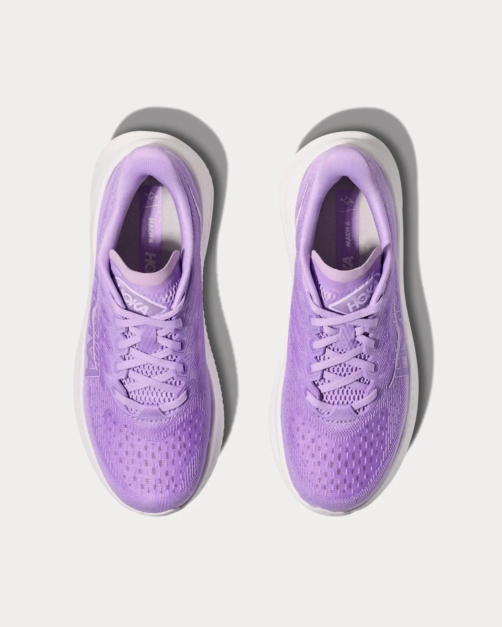 Mach 6 Aster Flower / White Running Shoes