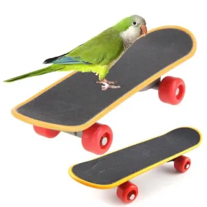 Safe Non-Toxic Bird Toys 2pcs Parrot Puzzle Interaction Toy Grinding Claw Mini Skateboard the Skating Shoes Training